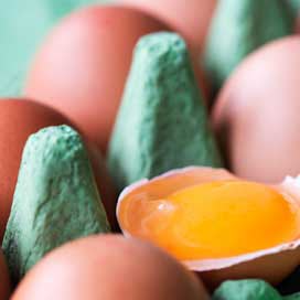 Beko waarschuwt voor te warme verwerking eieren