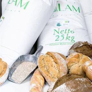 Het Groningse biologisch brood wordt gemaakt van oude graanrassen zoals Cardos, Ommelander Tarwe en Oberkulmer Rotkorn. Foto: Bakkerij Staghouwer