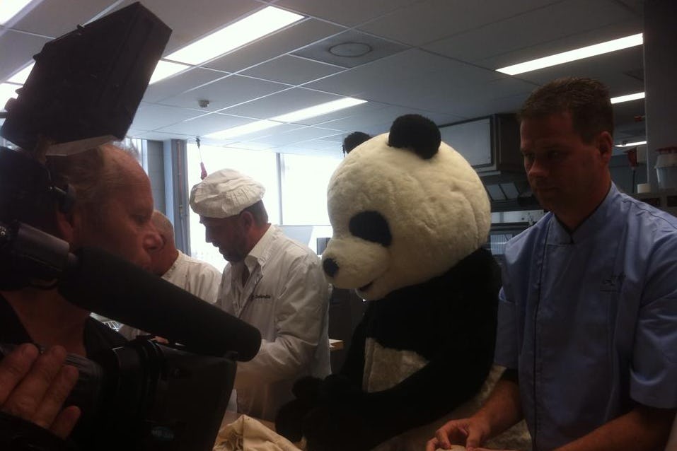 Eind 2014 introduceerde tv-presentator Harm Edens de Hollandse Panda ter gelegenheid van het 25-jarig bestaan van het Pandabroodje van Zeelandia.