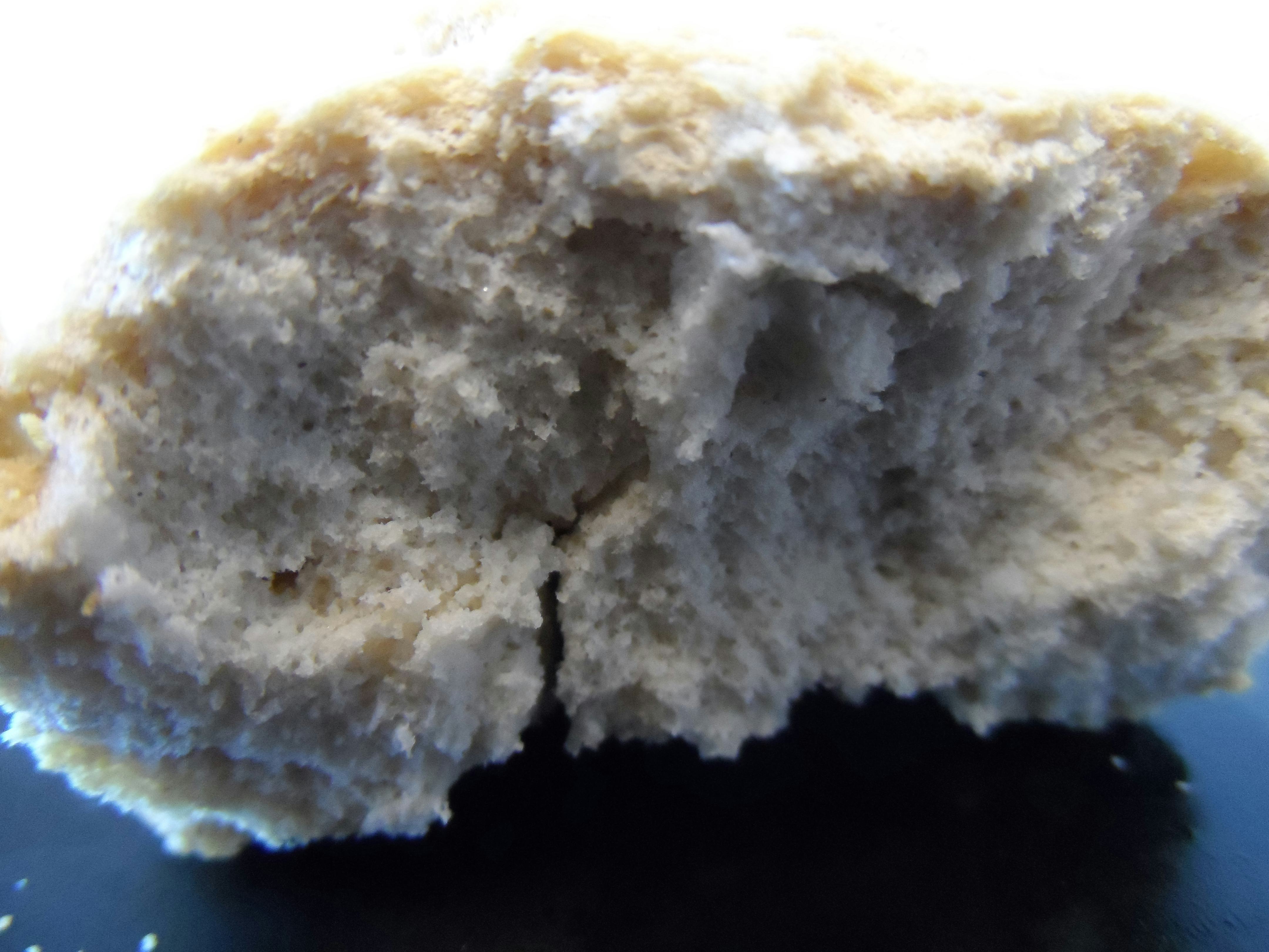 Eiwitrijk brood. Foto: Top bv