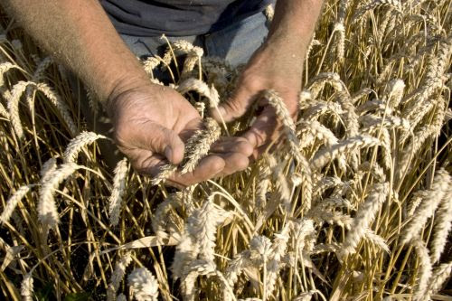 Louis Bolk Instituut