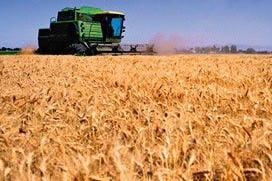 Archief Bakkerswereld