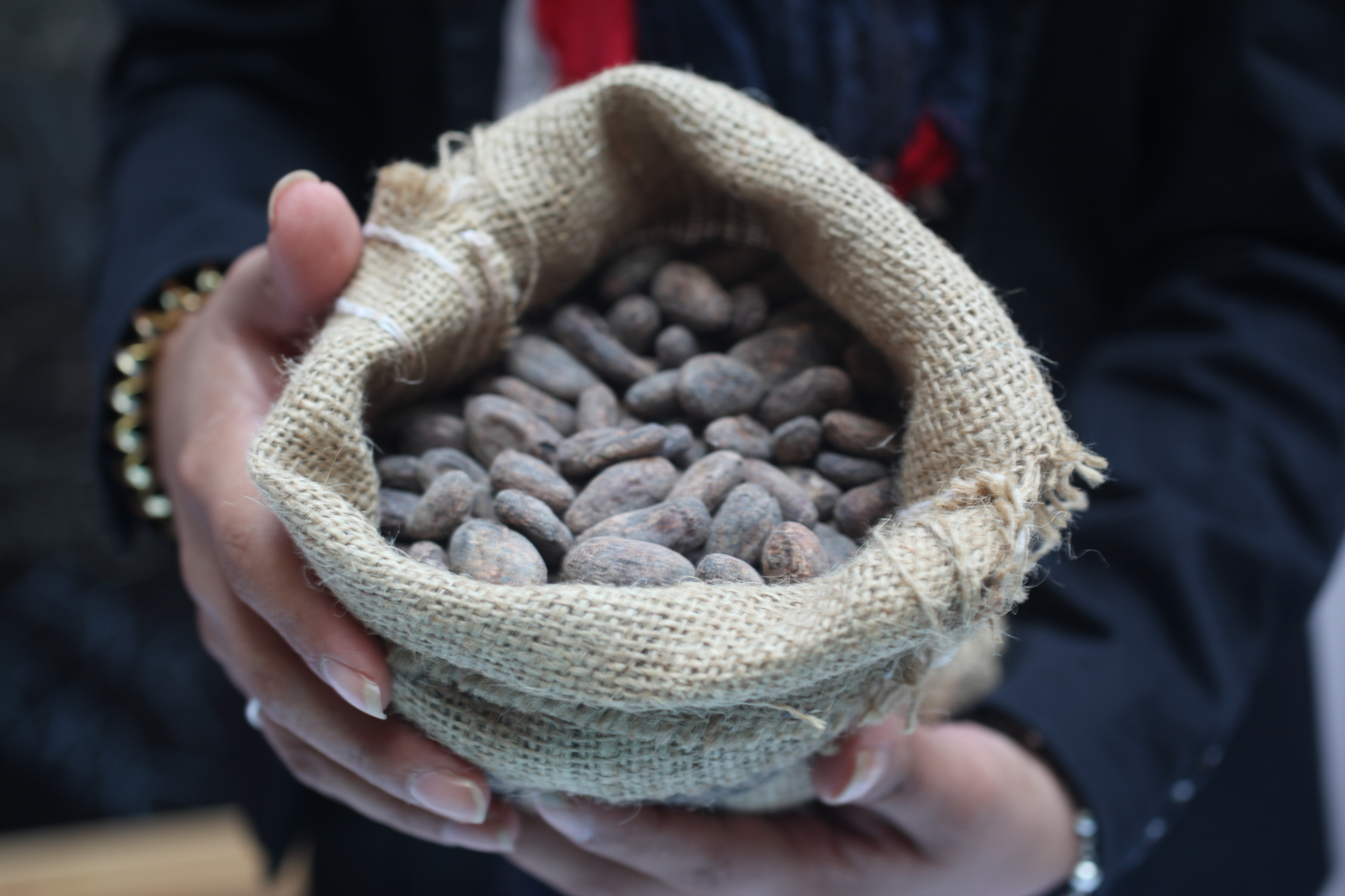 Archief Bakkerswereld