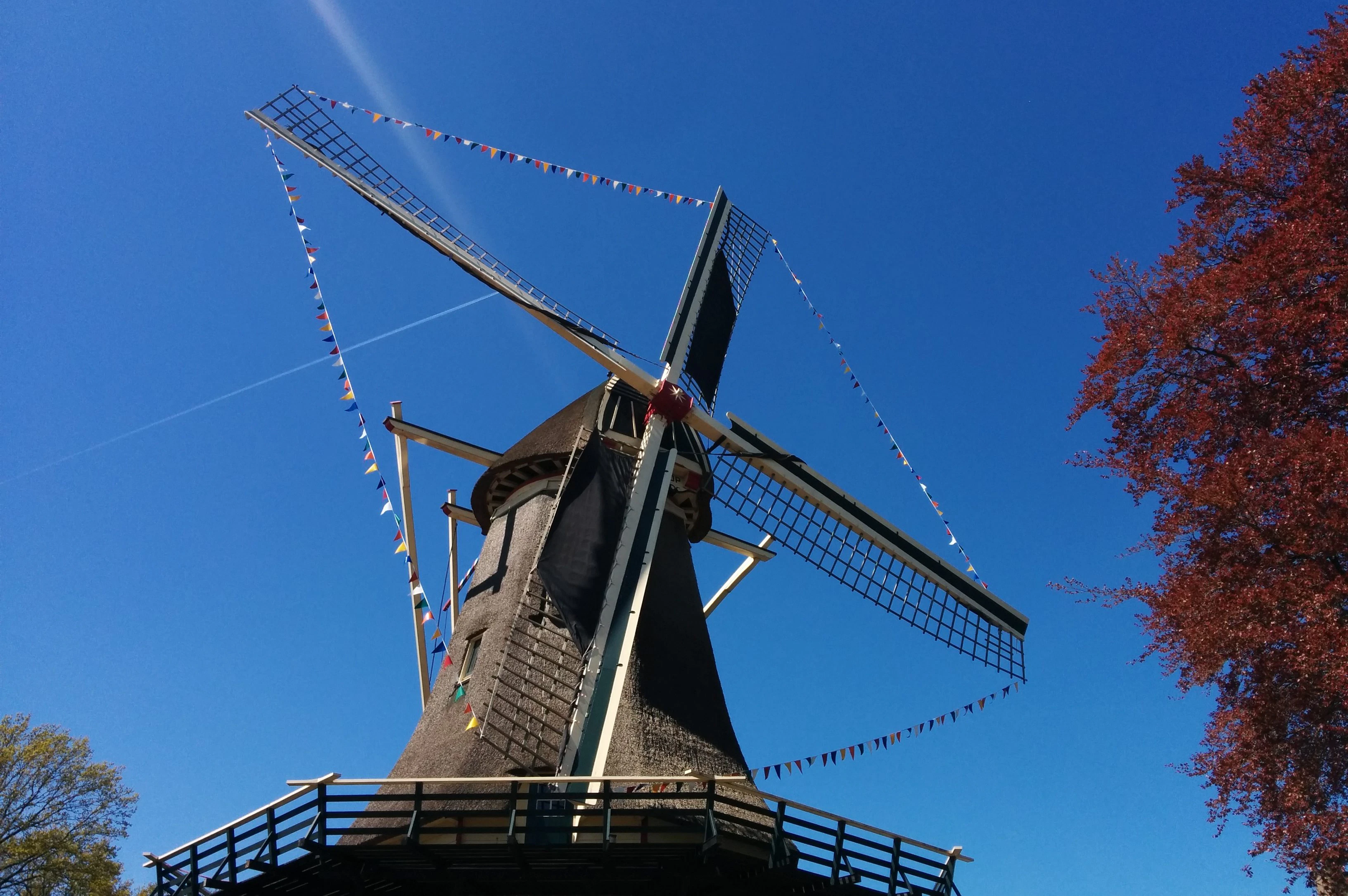 Foto: Stichting Molen De Hoop