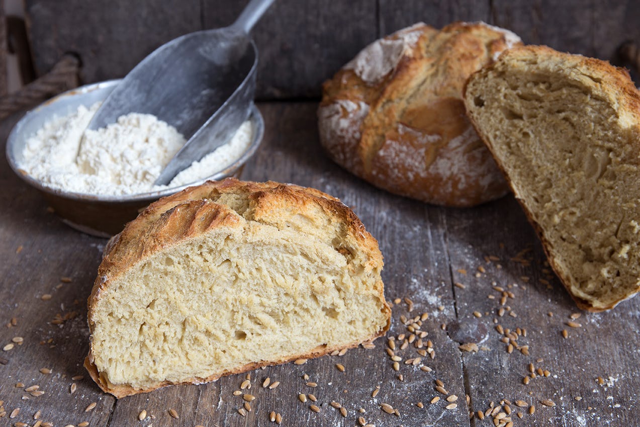 Gezond en goed verteerbaar brood kent een eenvoudige samenstelling en een lange deegbereiding. Foto: Bisschopsmolen