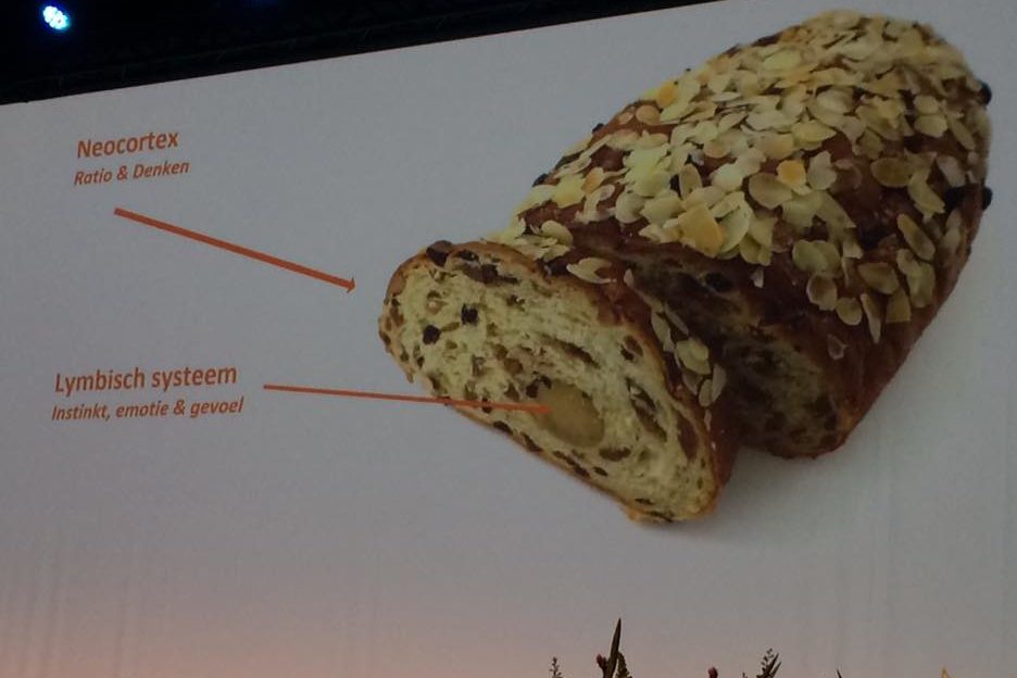 Een stol als metafoor voor het lymbisch systeem in de hersenen, Het deel waar de beleving wordt aangeraakt.