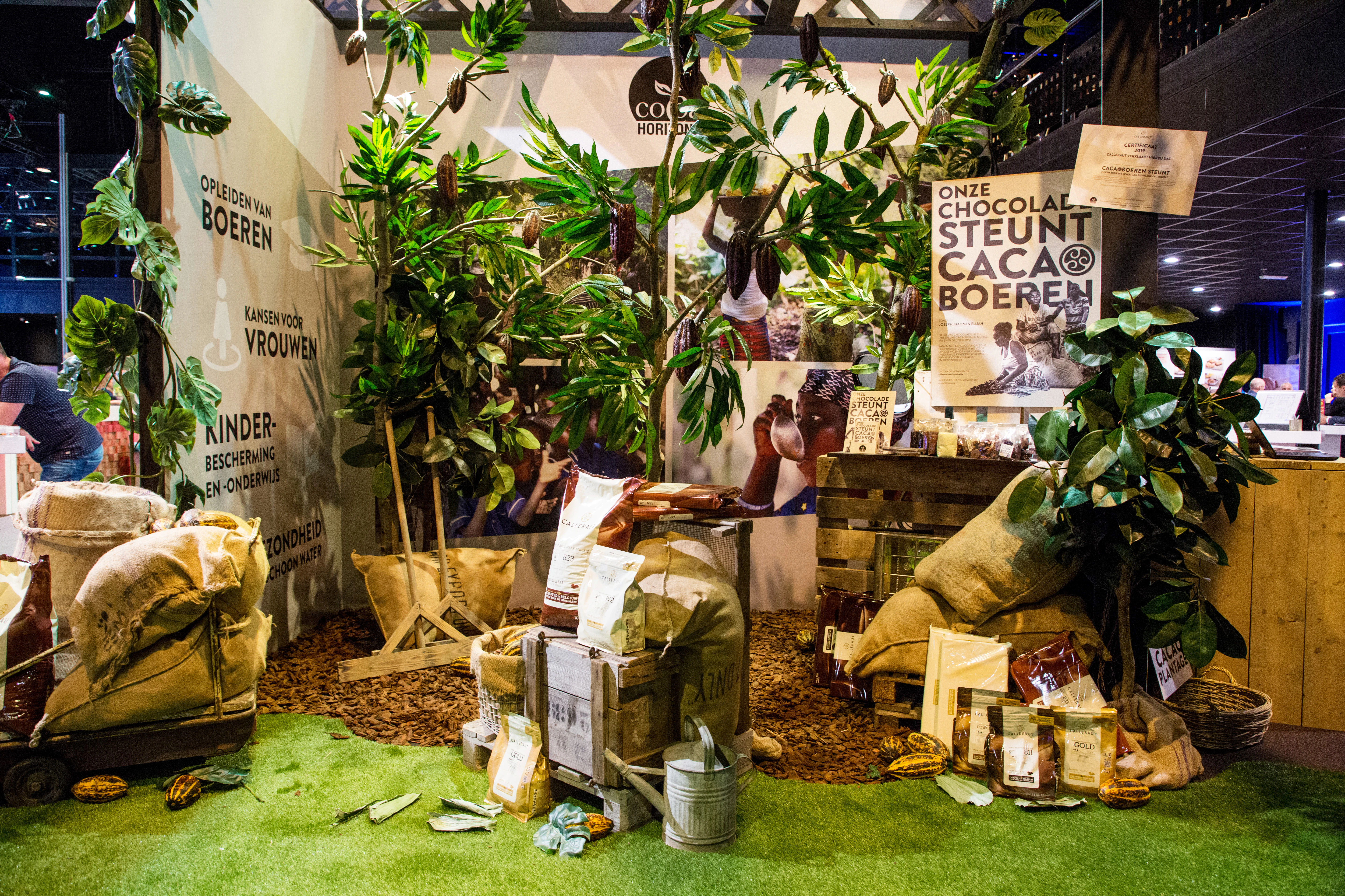 Callebaut zet duurzaamheidsproject cacaoplantages op de kaart.