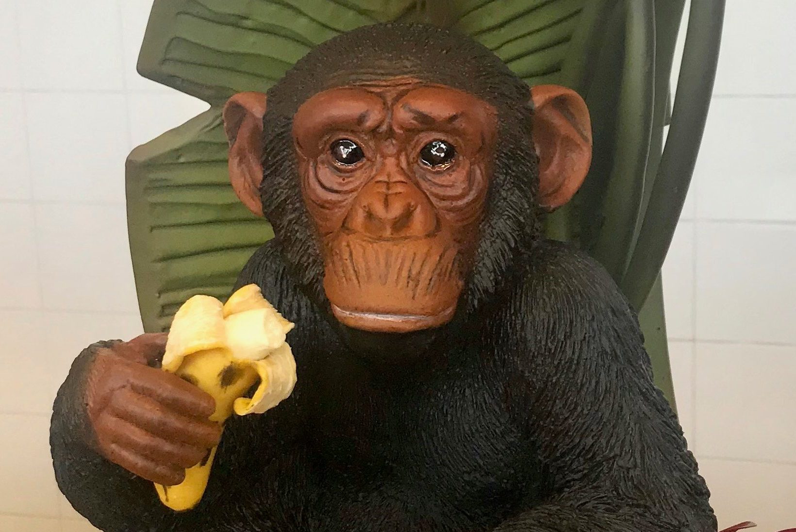 Echt of een showstuk, dat is de kwestie straks in de Showcolade-show.
Deze foto komt uit het archief van Bakkerswereld, gemaakt door Peter Remmelzwaal.