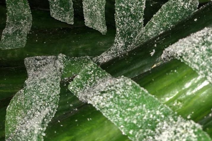Zure matjes gemaakt op basis van komkommer.
Foto: Yama Food