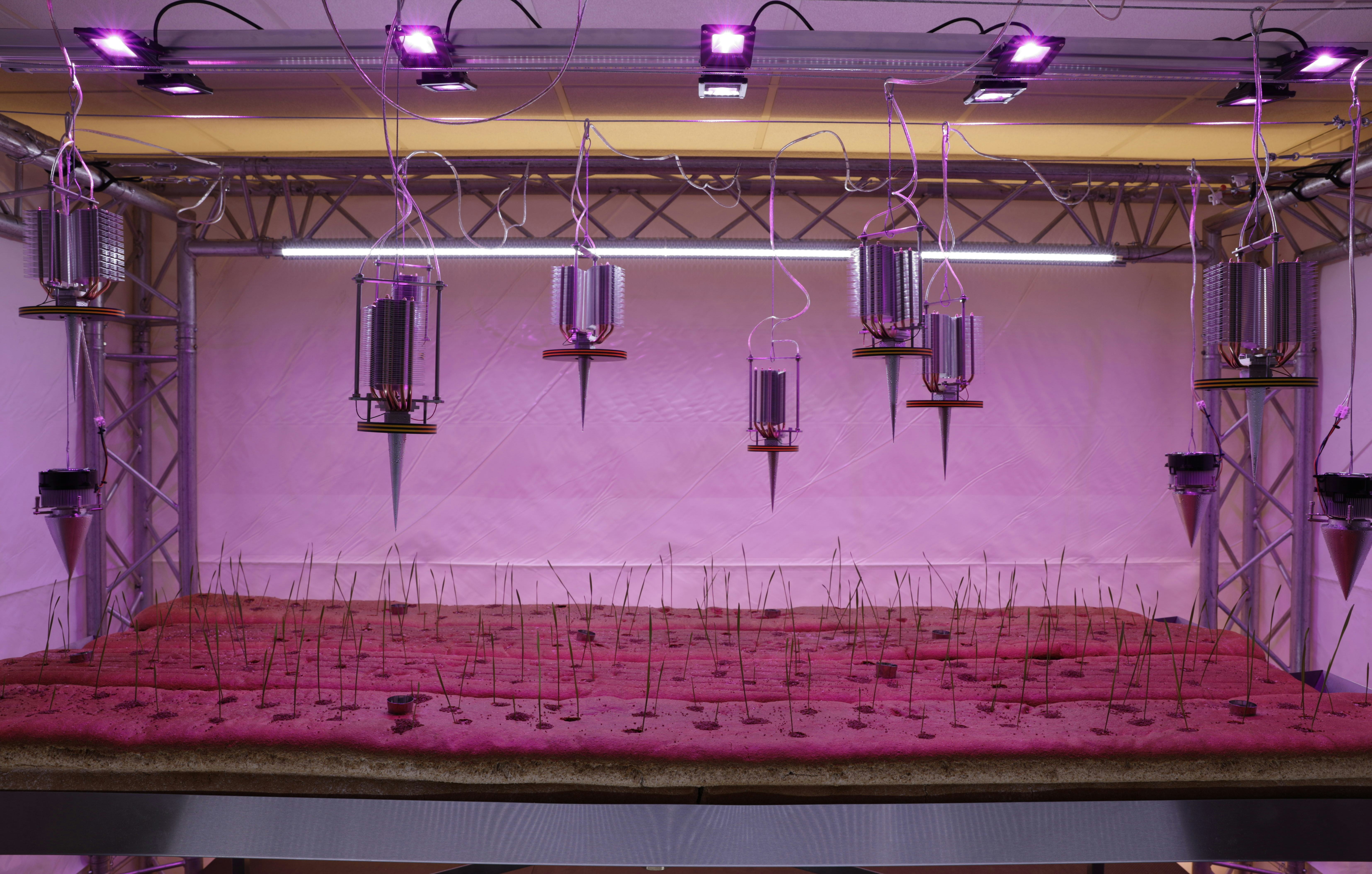 De Kunst van Brood - the battle van Brood tot Bloem