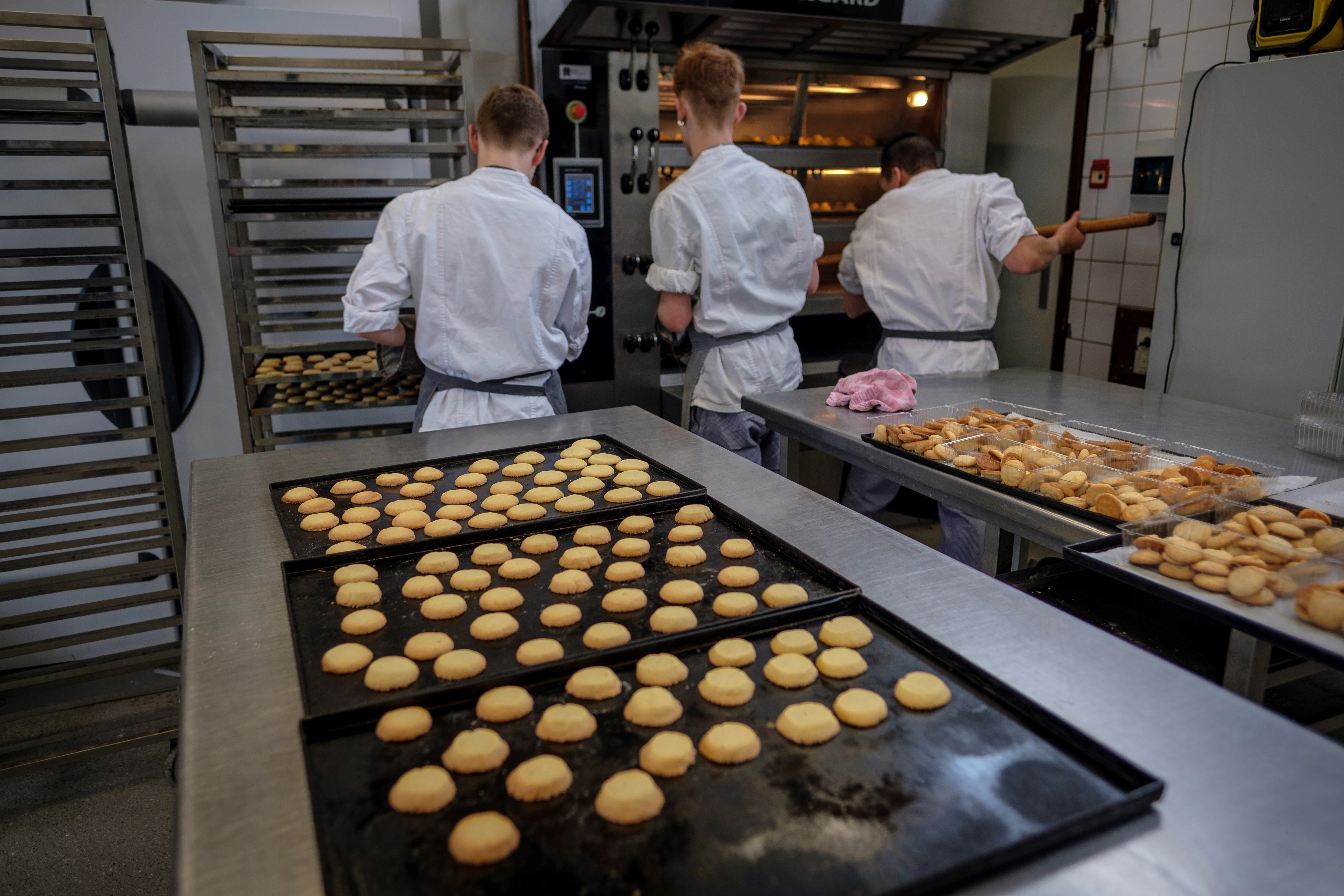 Stuifarme strooibloem op school