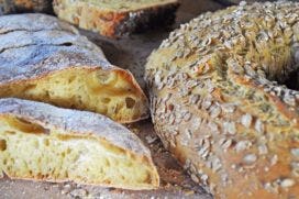 Tritordeum is een mediterraans graan met voordelen voor de boer, consument en het milieu. Foto: Commandeursmolen