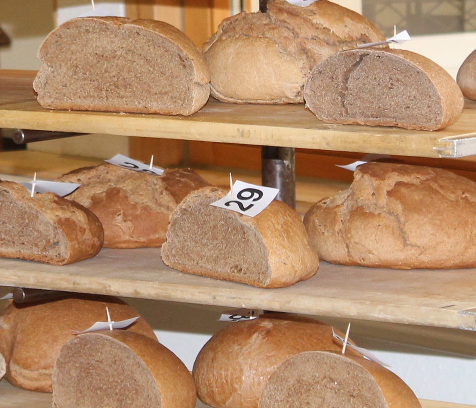 De verschillende tarwesoorten zijn getest op smaak en bakeigenschappen.
Foto: Universität Hohenheim