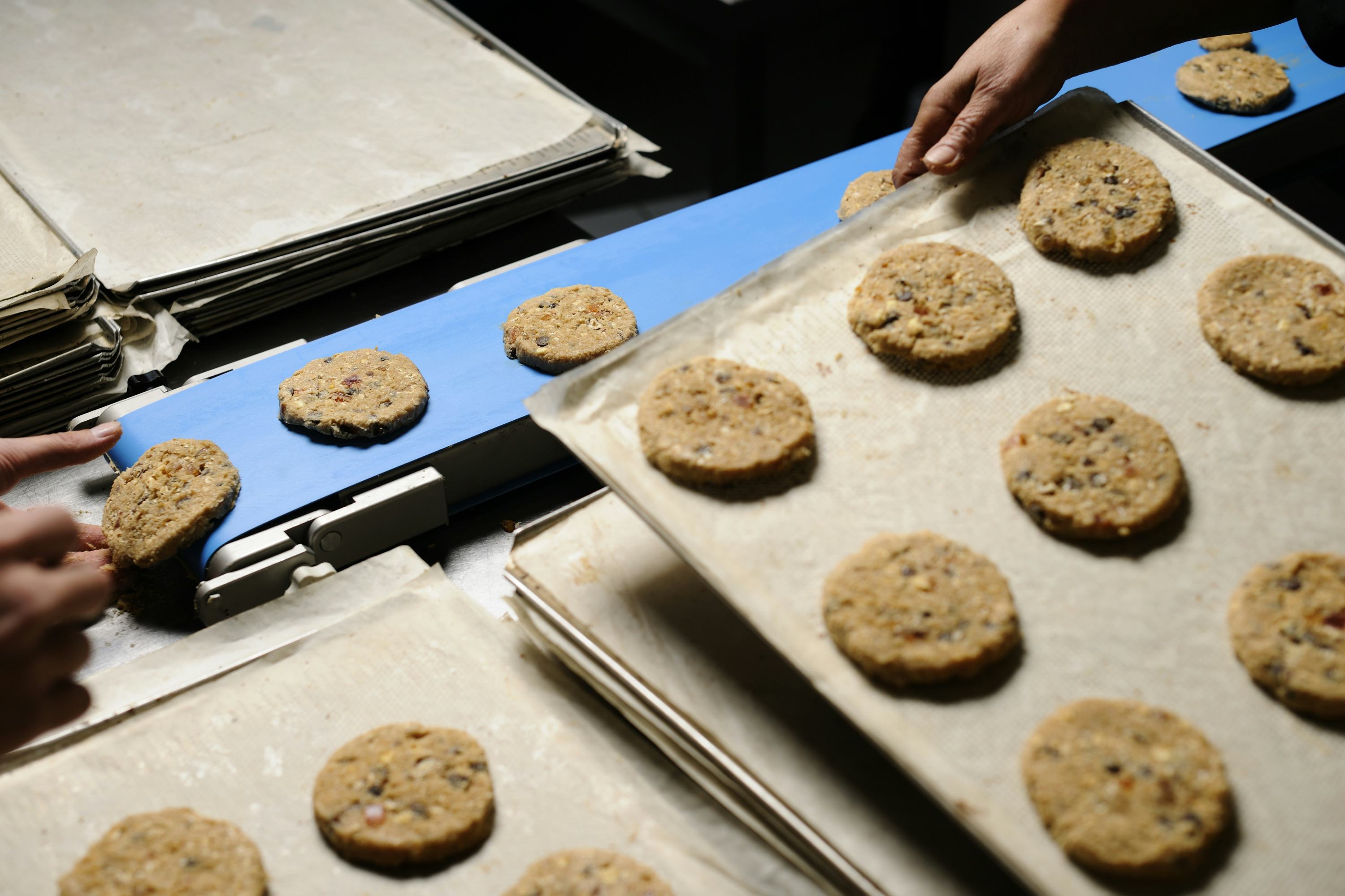 © Mark Prins Fotografie