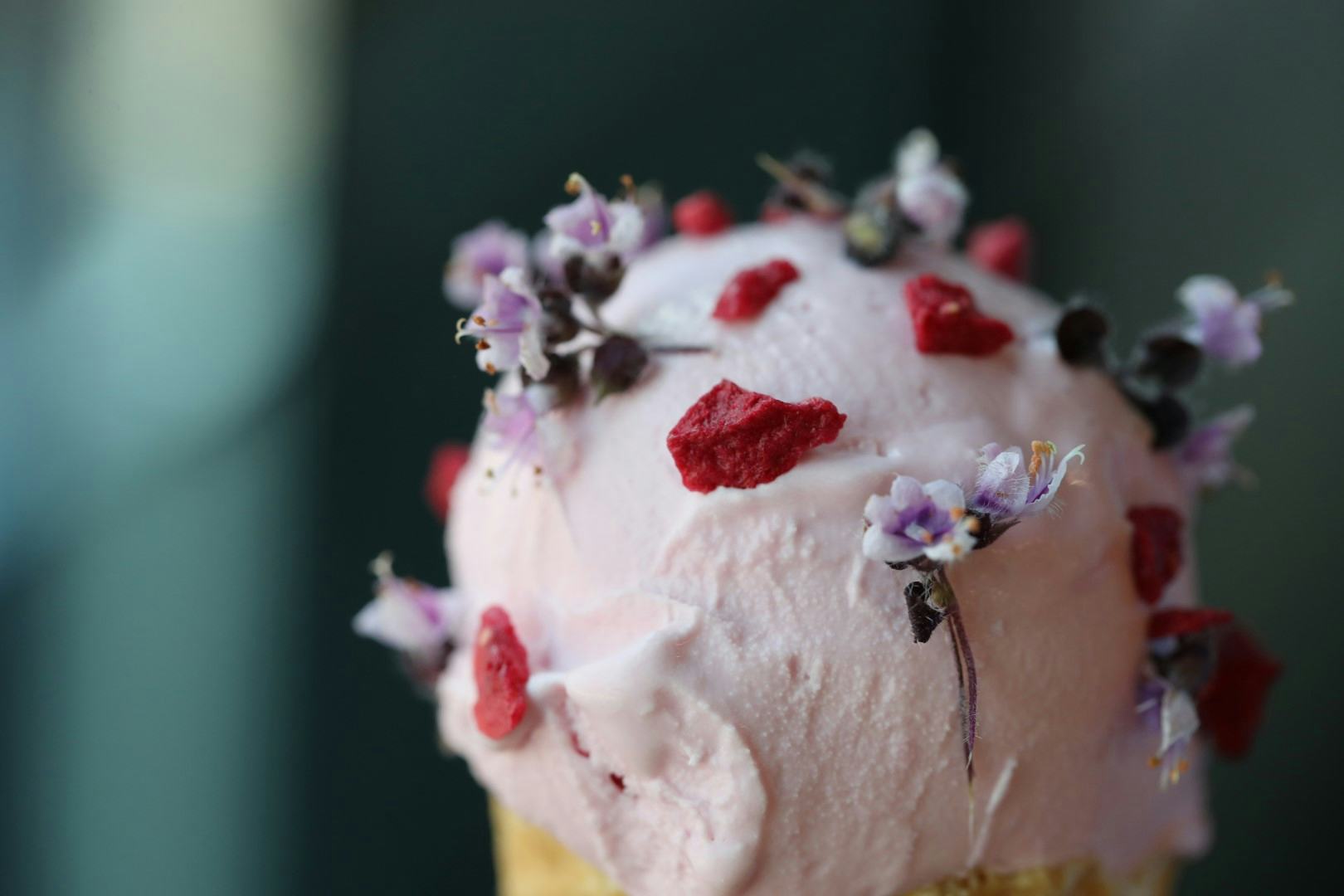 Een favoriet is het Ruby chocolade-ijs met Zallotti Blossom, paarse basilicum bloemen. Foto's:
Michiel van der Spek.