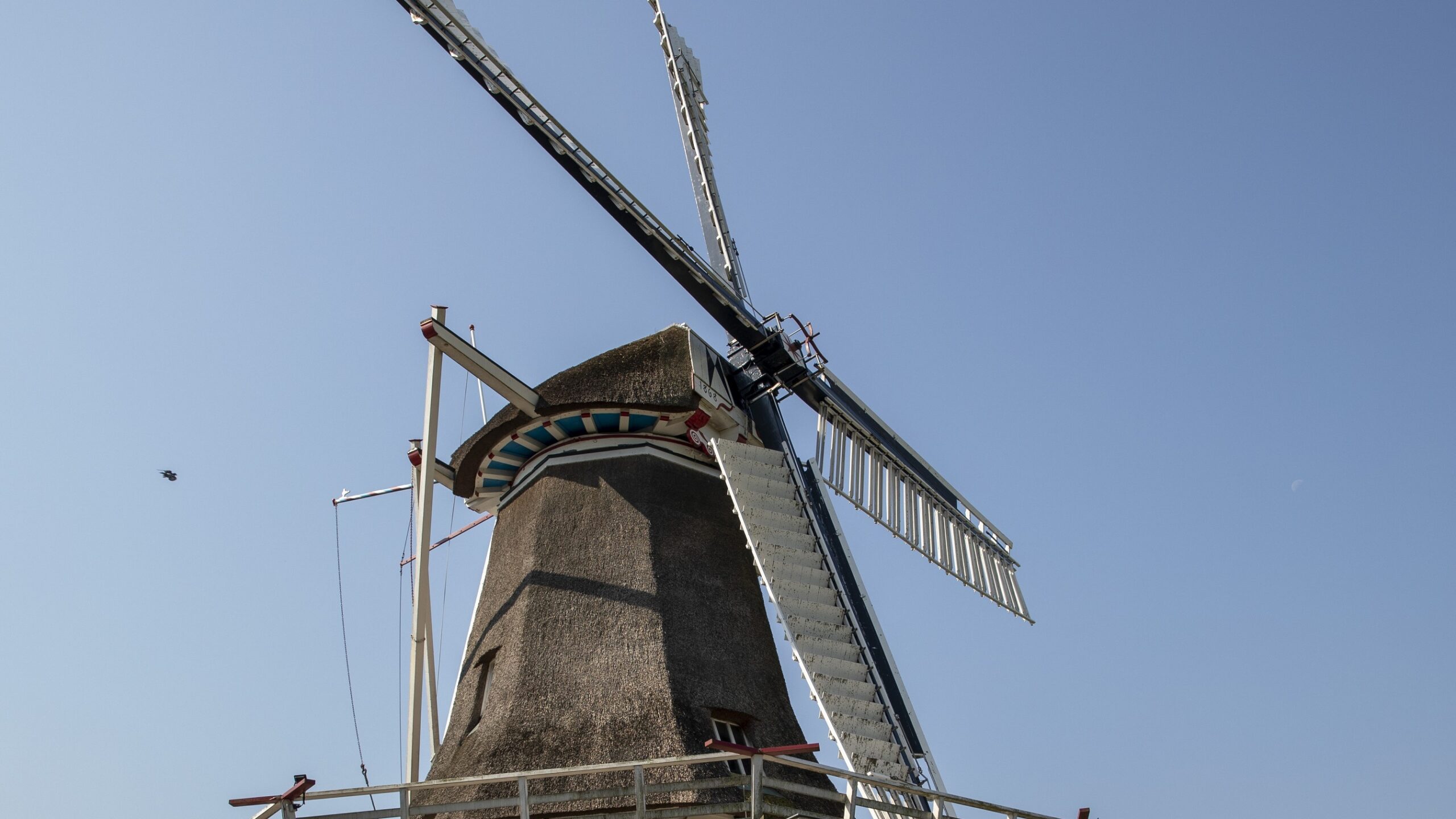 Molen de Weyer. Foto: Anne van der Woude