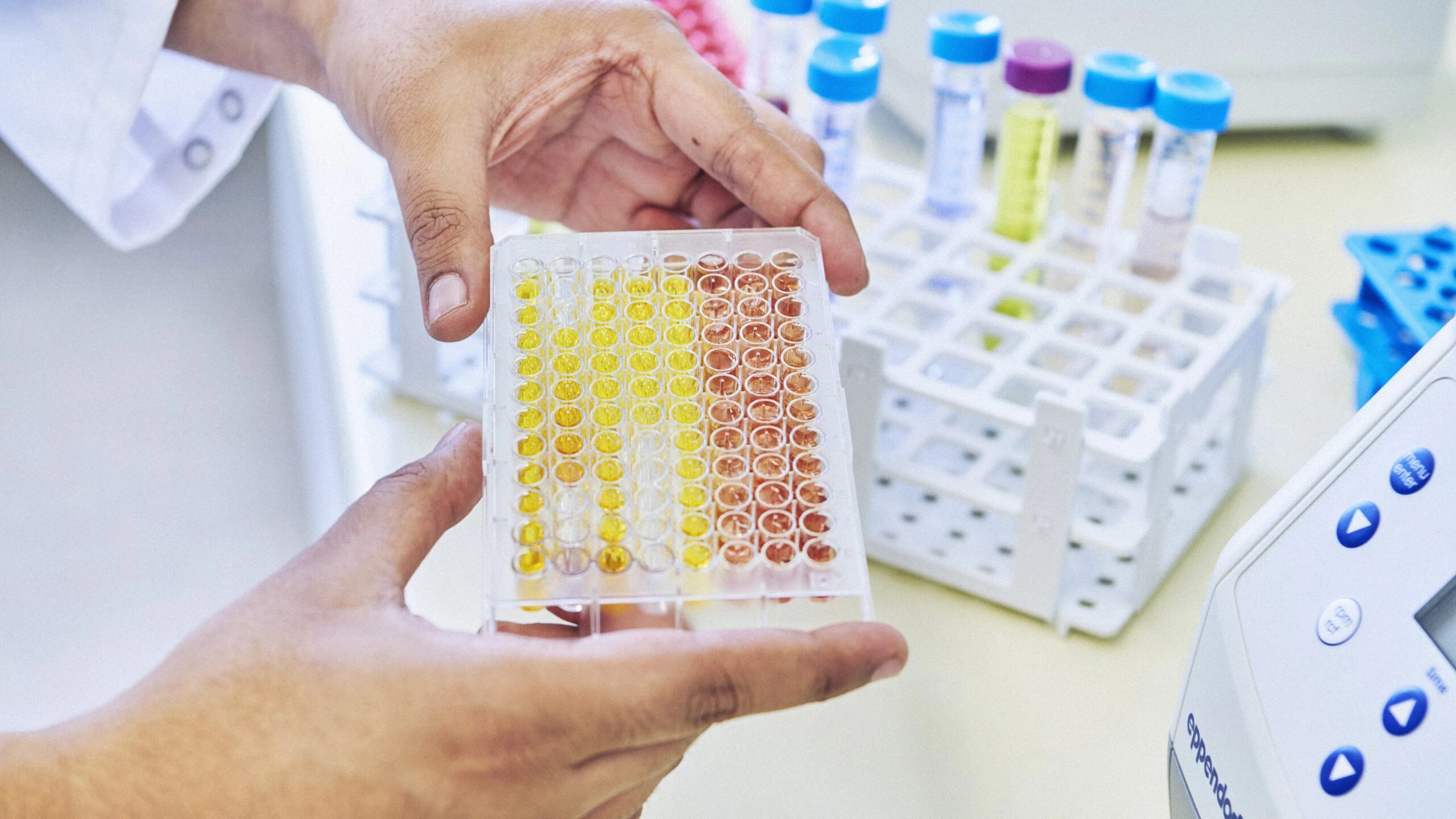 CSM wil de enzymtechniek inzetten om de van vershoudtechnologie te bevorderen.
Beeld: CSM