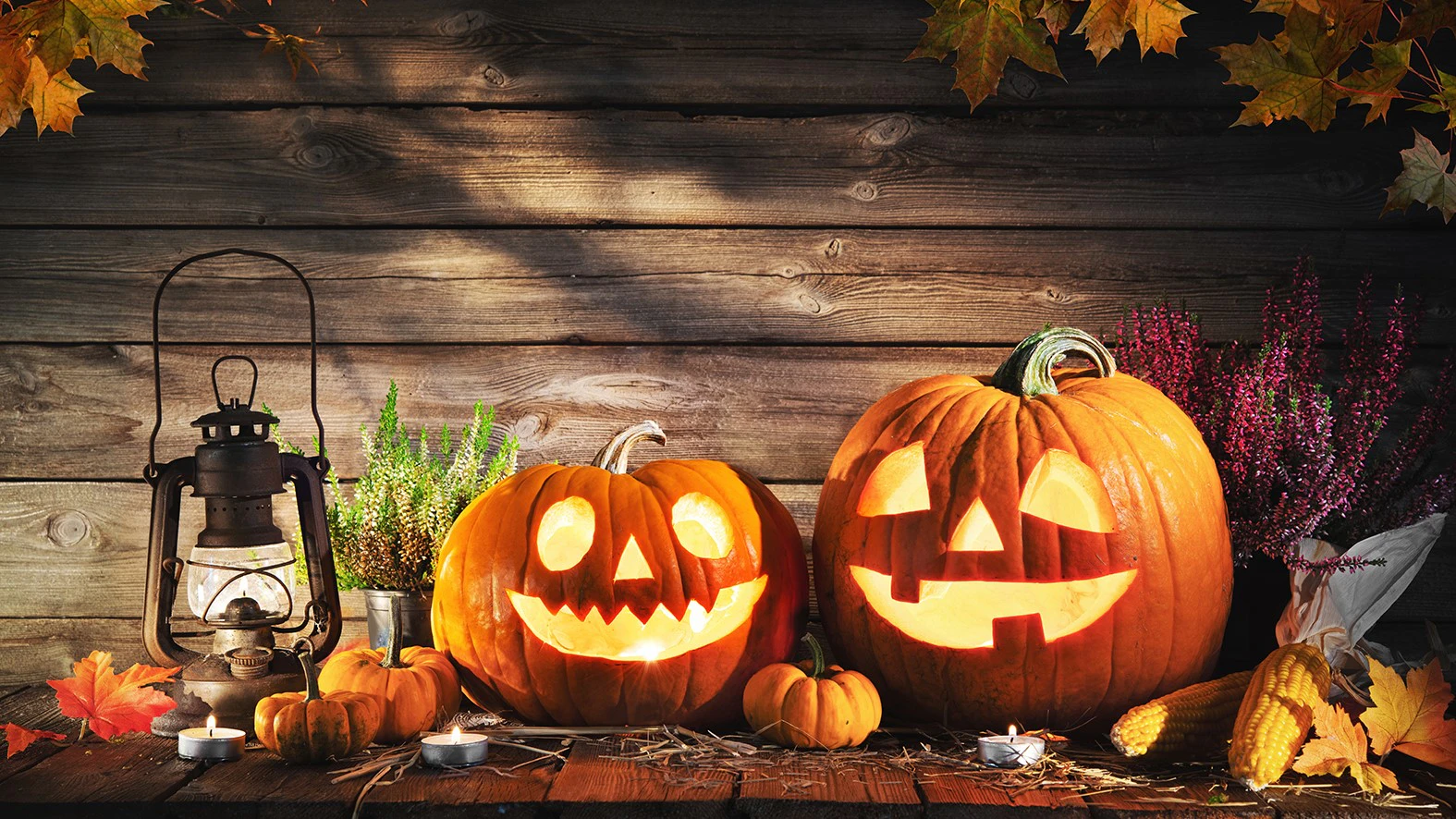 Halloween neemt toe in populariteit.
Foto: VBZ