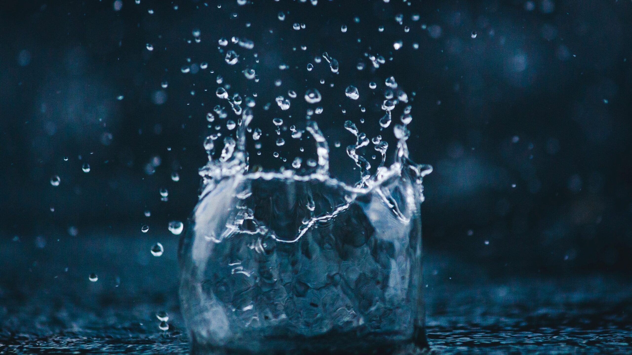 Foto: Amadej Tauses, Unsplash