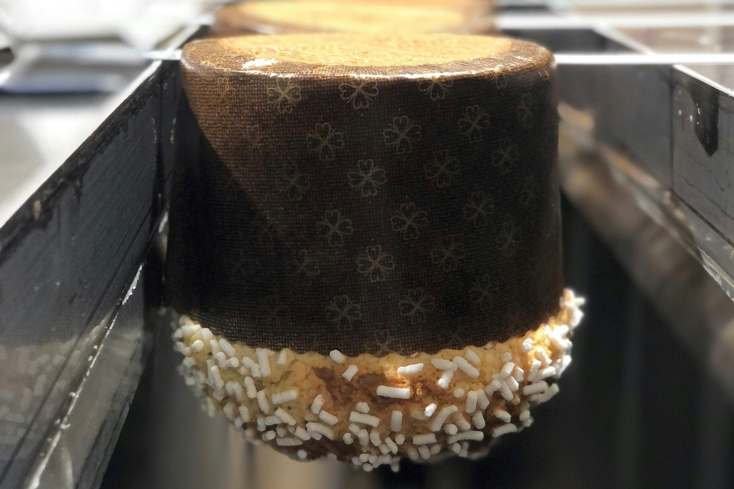 Panetonne: een traditioneel, rijk vruchtenbrood met een pasta madre als basis. Foto's: BI