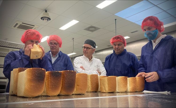 Het smaakpanel test broden met verschillende nieuwe samenstellingen bakkerszout.
