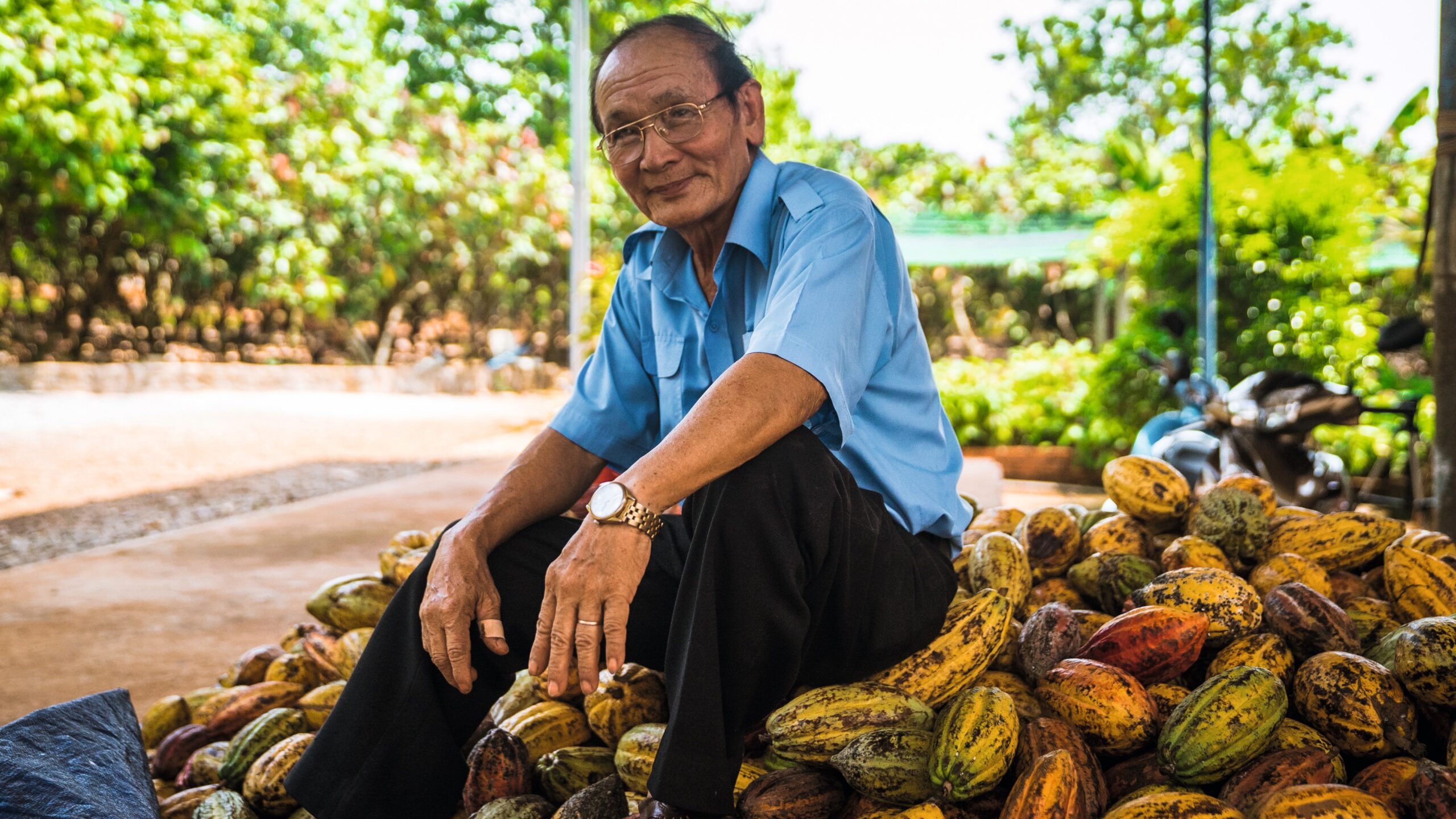 Cacaoboeren, zoals deze teler in Vietnam, ontvangen een gegarandeerde premiumprijs voor hun kwaliteitsvolle bonen, plus een bonus.
Foto: Puratos