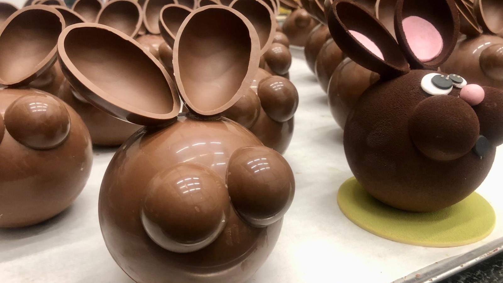 Chocolade hazen van Bontom. Foto: AMR