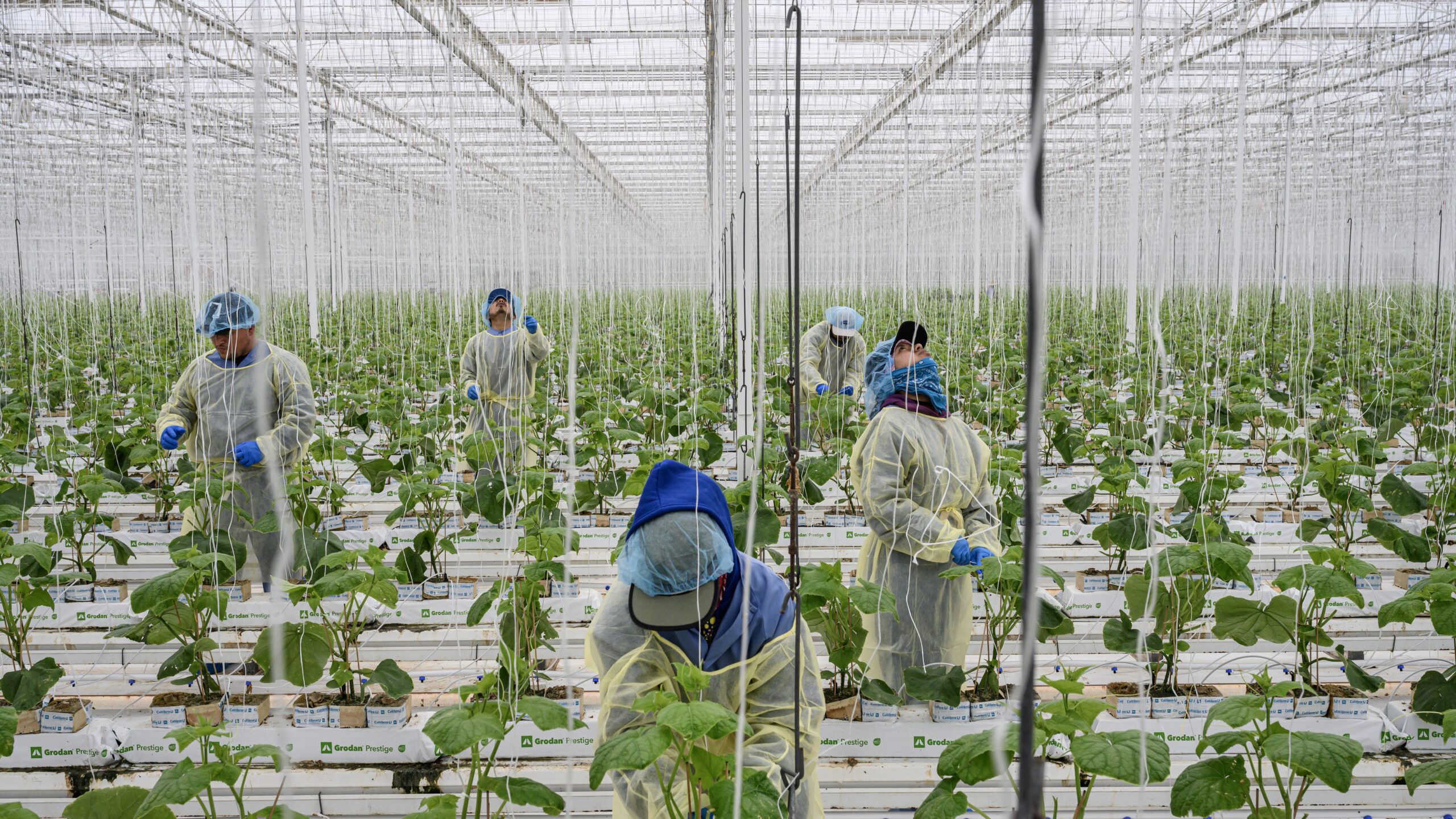 Foto: Kadir van Lohuizen