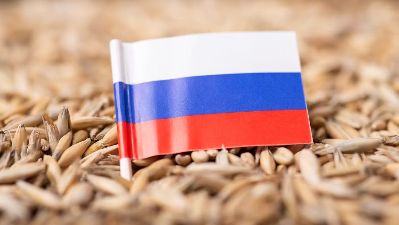 foto: shutterstock