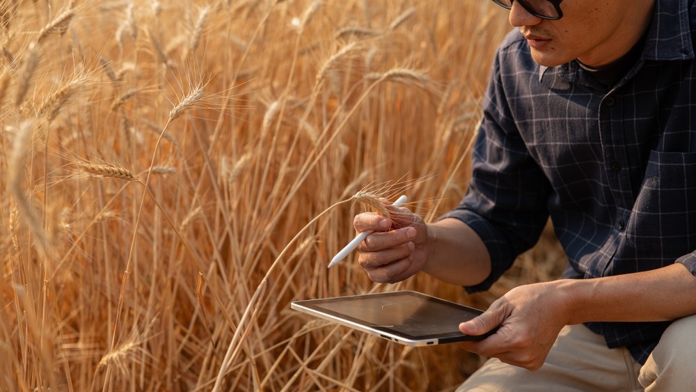 De bodemgesteldheid is mede bepalend voor de stoffen die granen in zich ontwikkelen. Foto: Shutterstock