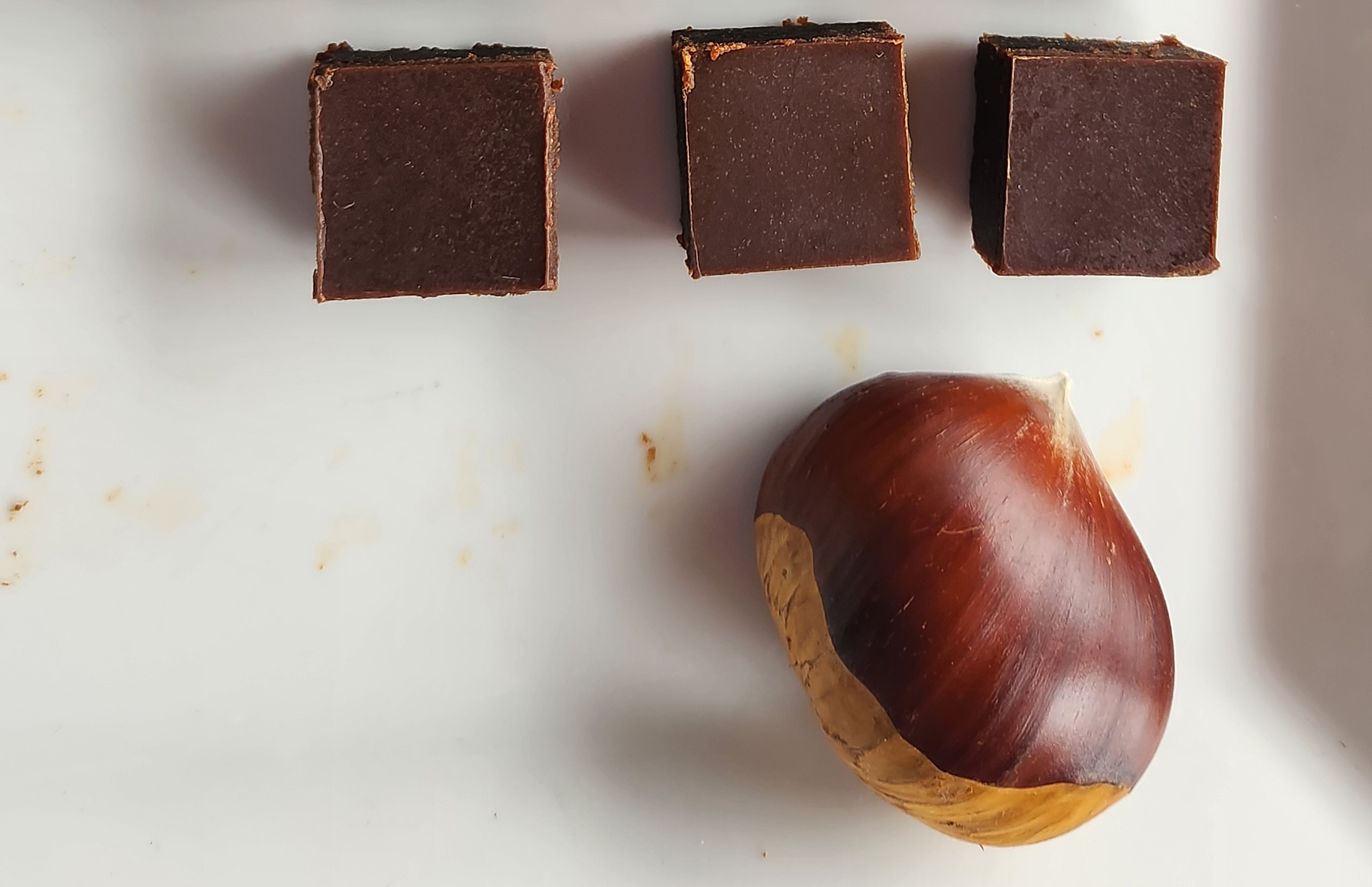 Emile van der Staak, chef-kok van De Nieuwe Winkel in Nijmegen, heeft mini-brownies gemaakt van cacao uit zijn eigen tamme kastanjes.