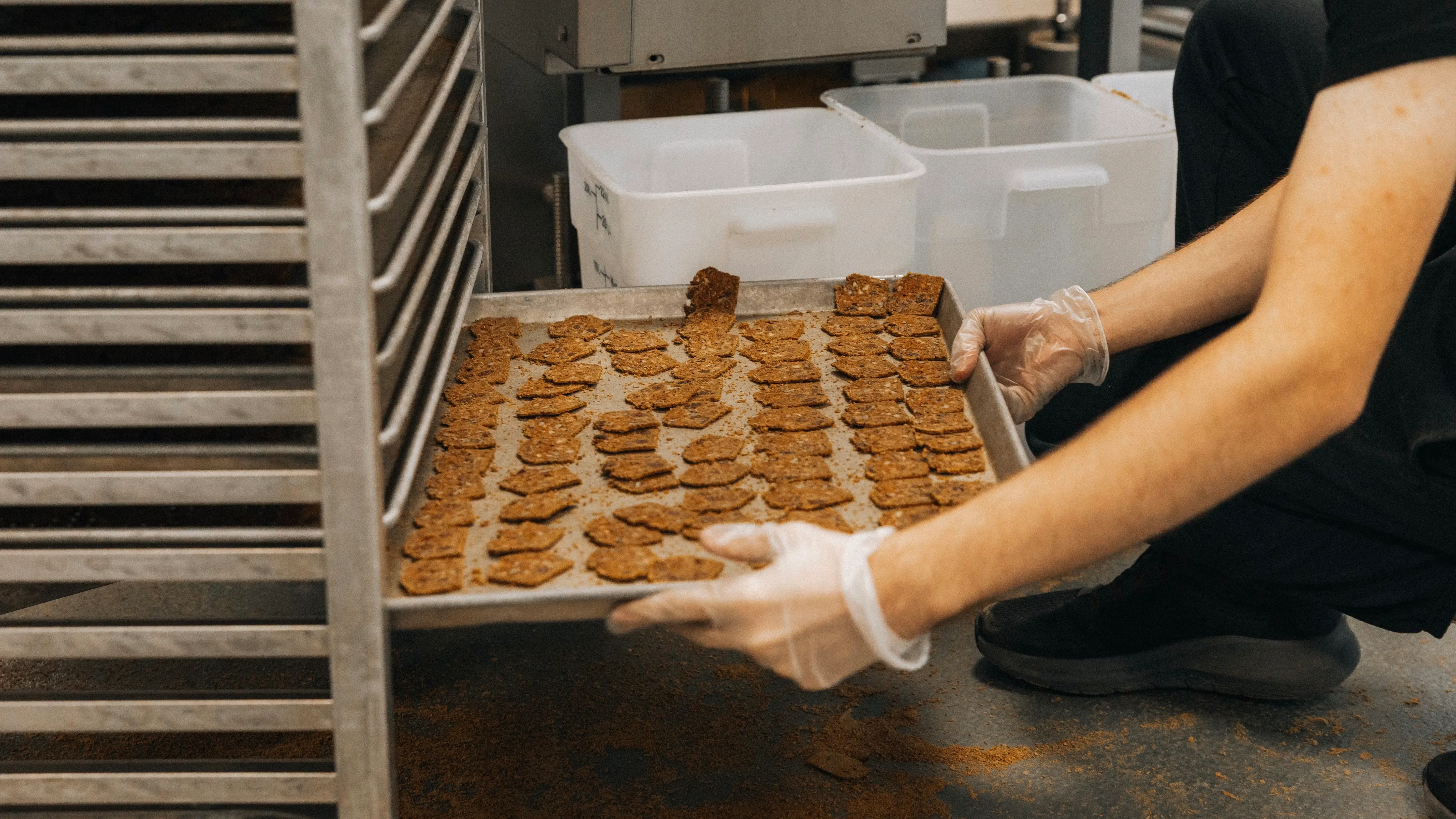 Boekweitcrackers van de Maine Crisp Company. (Beeld: Food Export - Northeast)