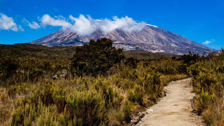 Zin in een uitdaging? GIST zoekt 12 wandelaars voor de Kilimanjaro. Foto's: GIST
